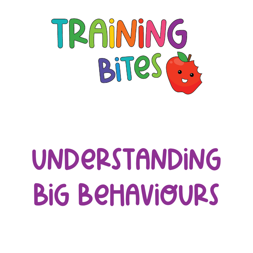 Understanding Big Behaviours