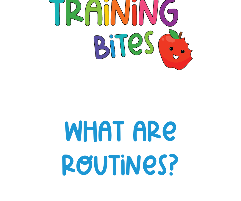 What are Routines?