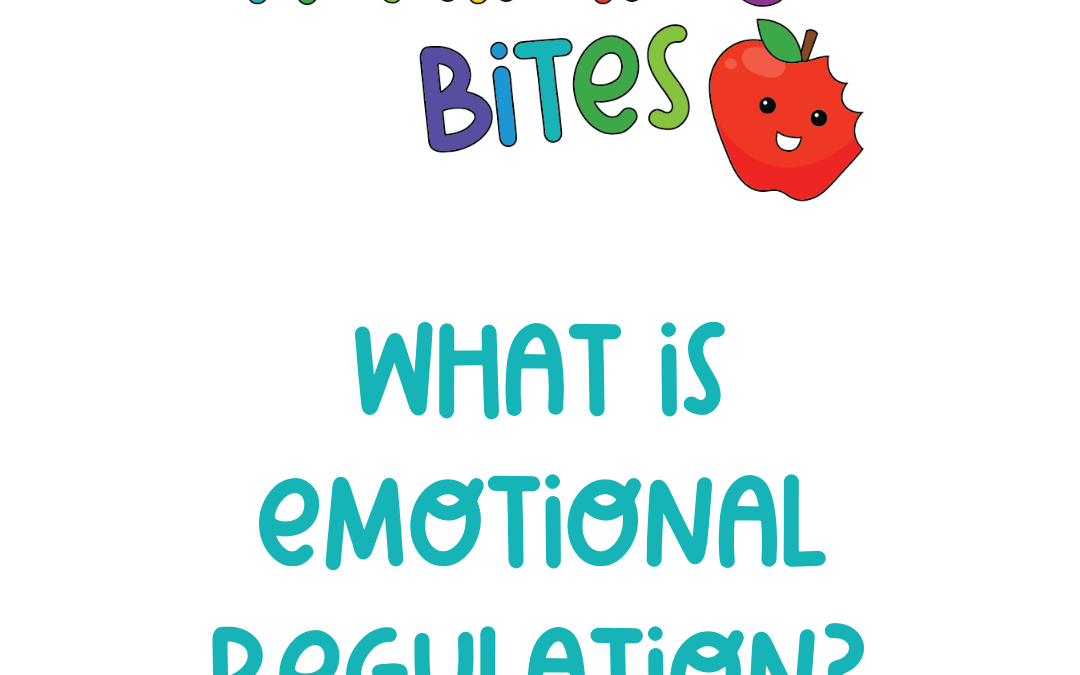 What is Emotional Regulation?