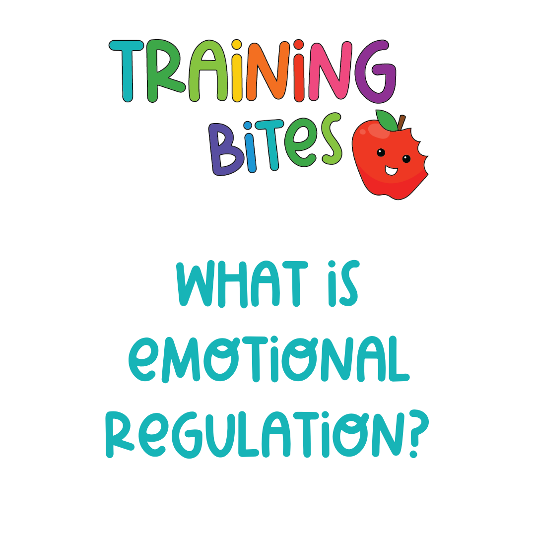 Little Wooden Toybox Training Bites_What is Emotional Regulation