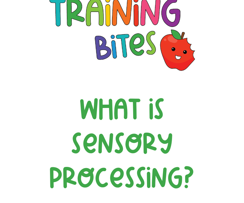 What is Sensory Processing?