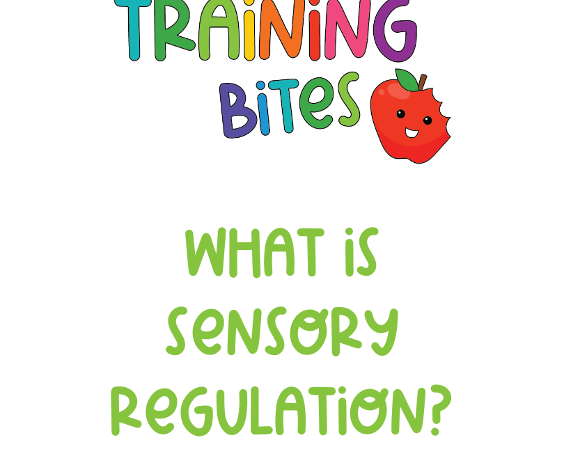 What is Sensory Regulation?