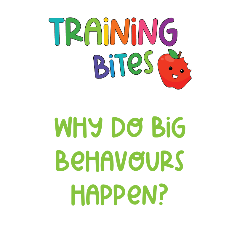 Why do big behaviours happen>